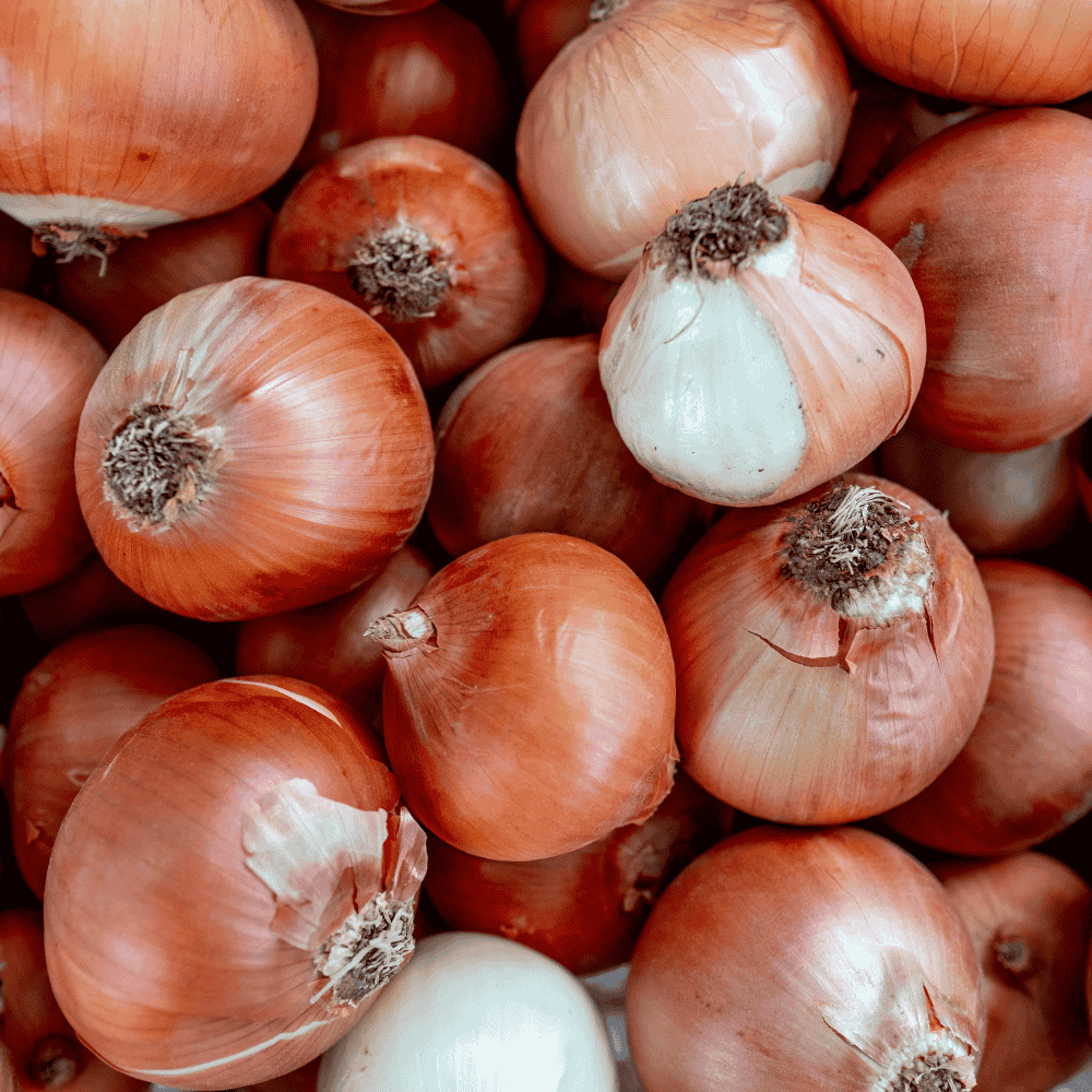 onion