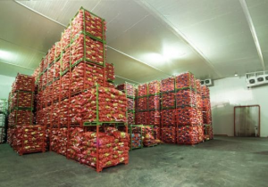 Cold Storage Facilities